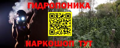 амф Сланцы