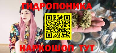 амф Сланцы