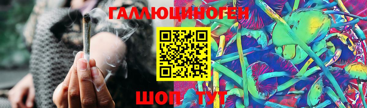 Псилоцибиновые грибы Psilocybe Полысаево