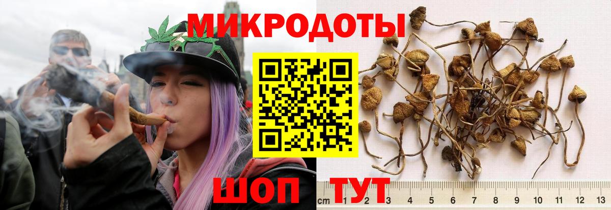 Полысаево  наркошоп  Вход с VPN  Галлюциногенные грибы мицелий 